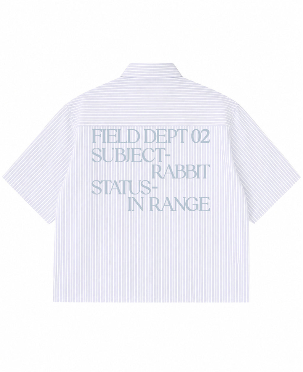 Blue Striped Oxford Boxy Shirt Back Design