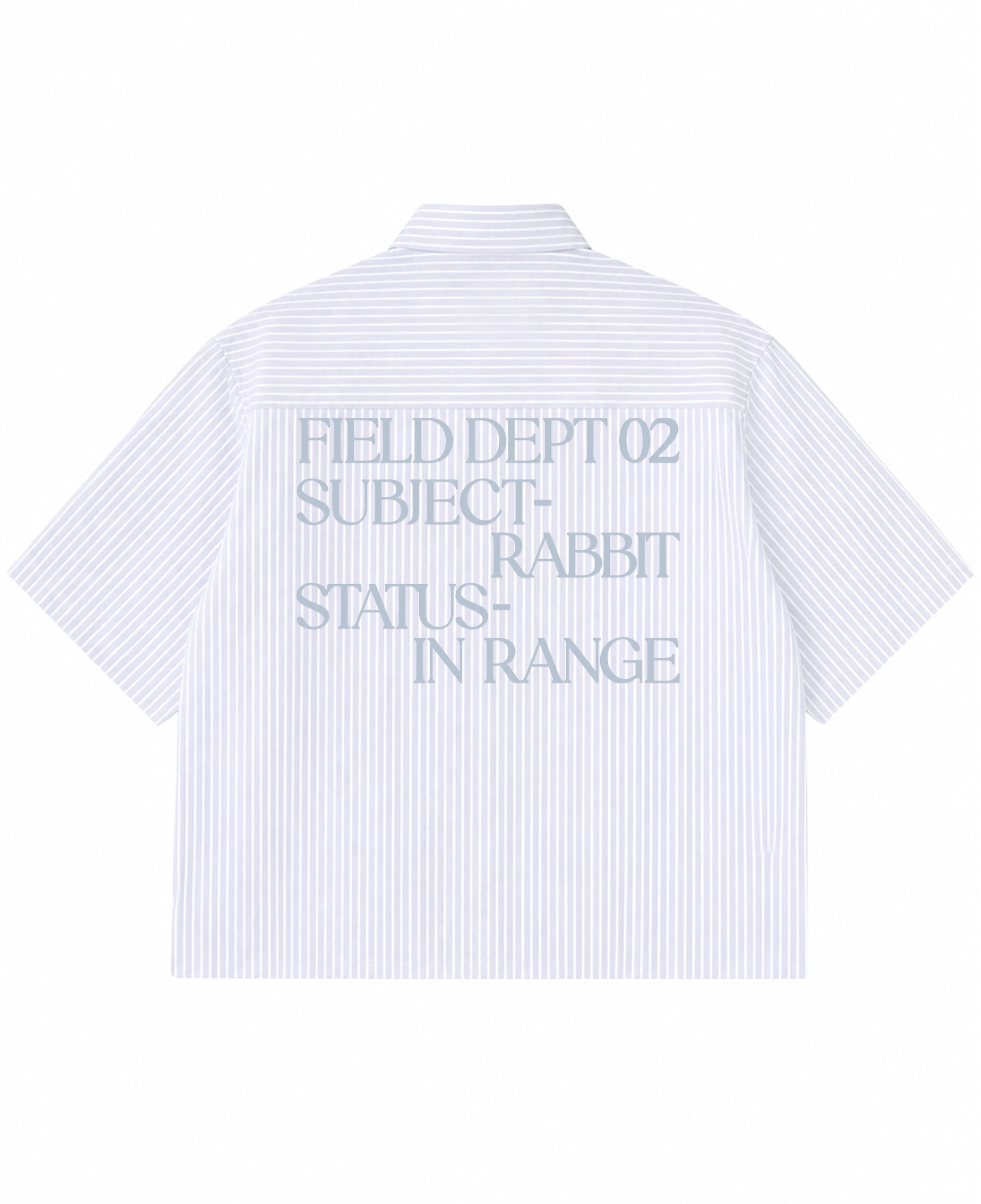 Blue Striped Oxford Boxy Shirt Back Design
